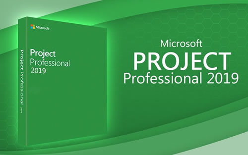 Microsoft Project Professional 2019